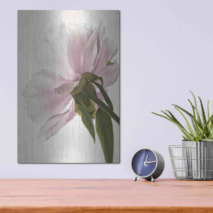 Luxe Metal Art 'Translucent Peony III' by Debra Van Swearingen, Metal Wall Art,12x16