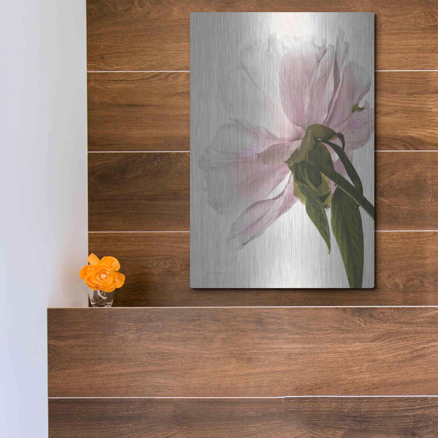 Luxe Metal Art 'Translucent Peony III' by Debra Van Swearingen, Metal Wall Art,12x16