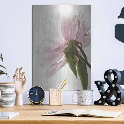 Luxe Metal Art 'Translucent Peony III' by Debra Van Swearingen, Metal Wall Art,12x16