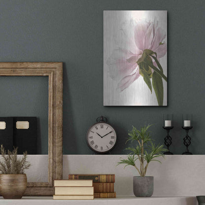 Luxe Metal Art 'Translucent Peony III' by Debra Van Swearingen, Metal Wall Art,12x16