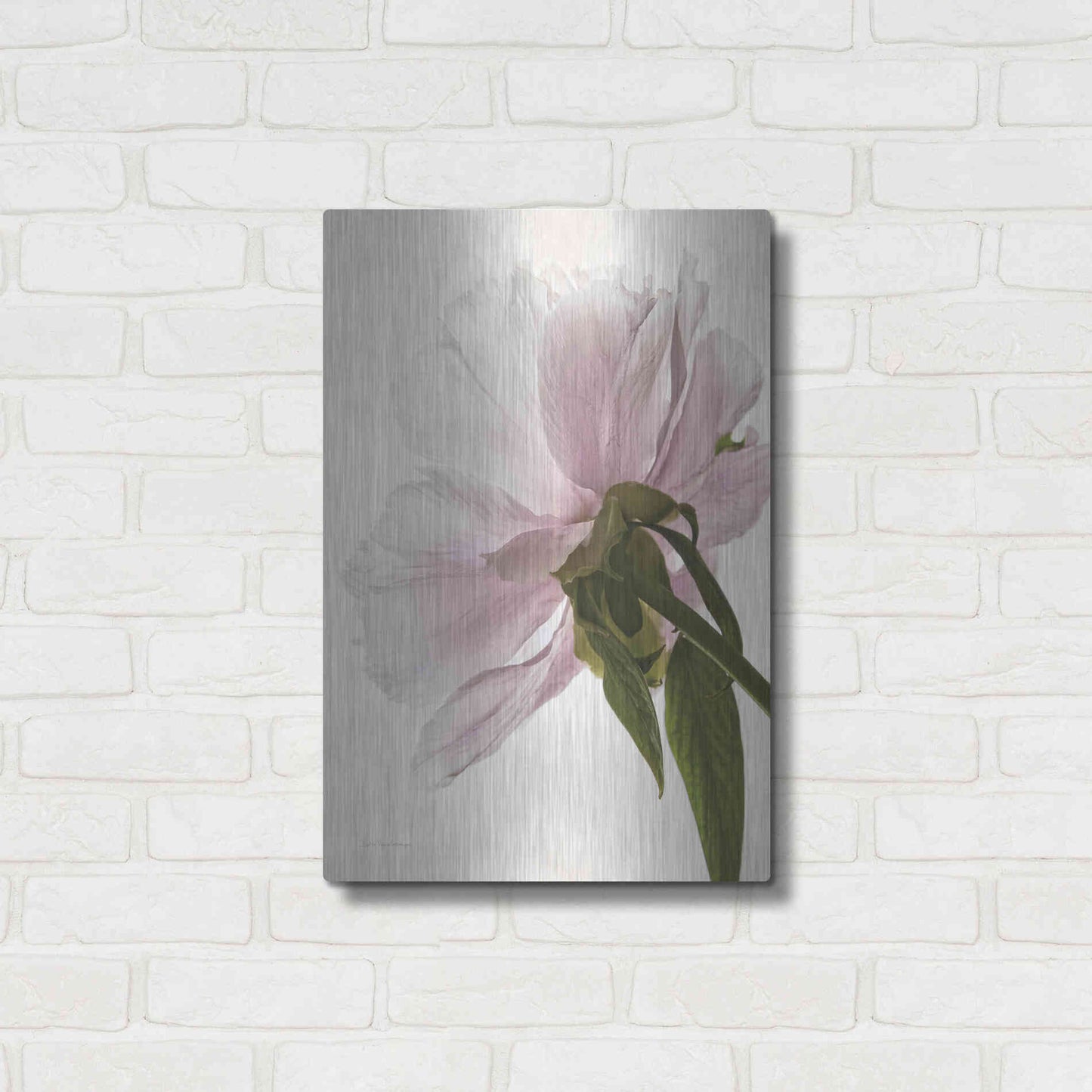 Luxe Metal Art 'Translucent Peony III' by Debra Van Swearingen, Metal Wall Art,16x24
