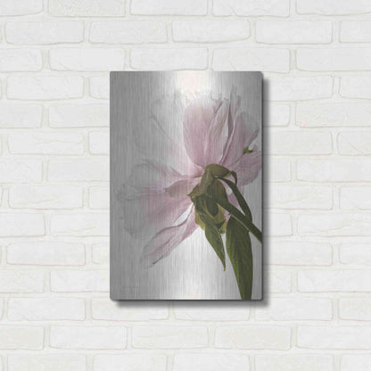 Luxe Metal Art 'Translucent Peony III' by Debra Van Swearingen, Metal Wall Art,16x24