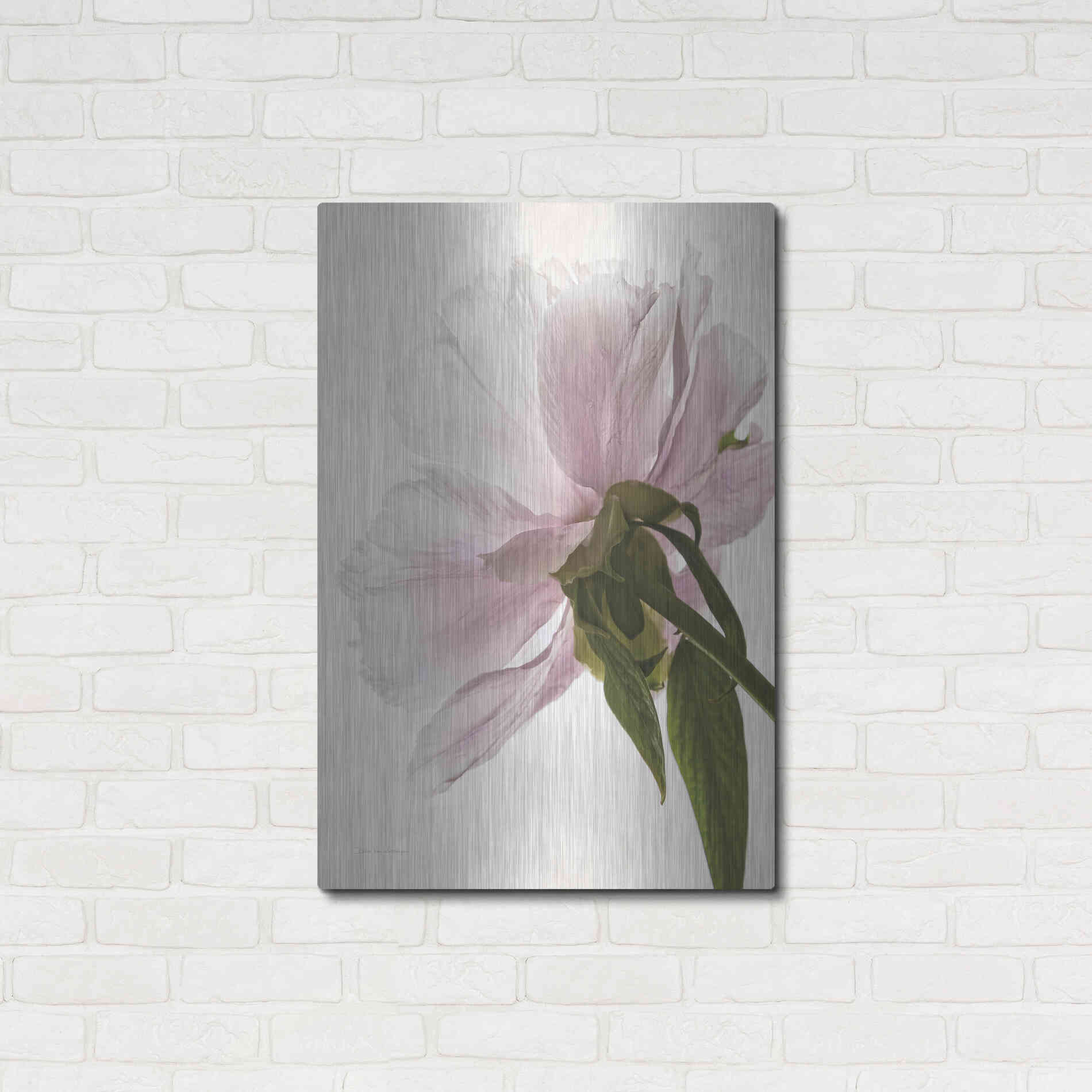 Luxe Metal Art 'Translucent Peony III' by Debra Van Swearingen, Metal Wall Art,24x36