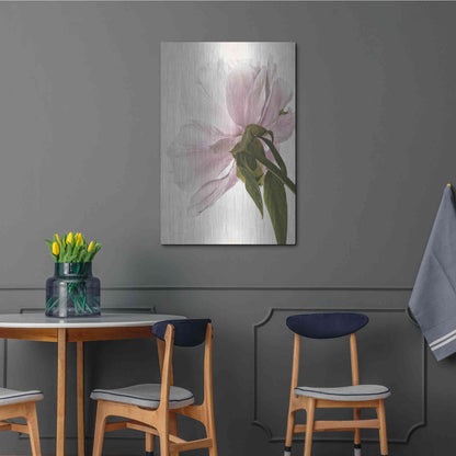 Luxe Metal Art 'Translucent Peony III' by Debra Van Swearingen, Metal Wall Art,24x36