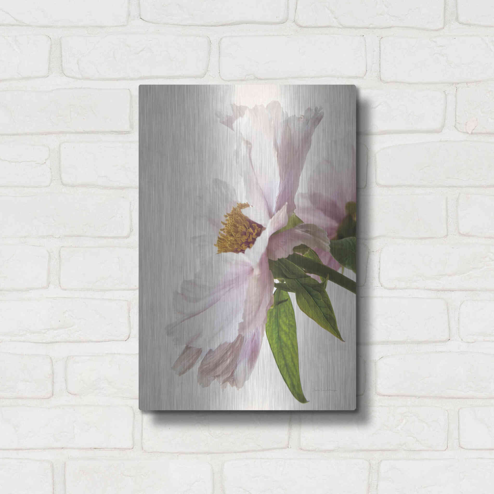 Luxe Metal Art 'Translucent Peony IV' by Debra Van Swearingen, Metal Wall Art,12x16