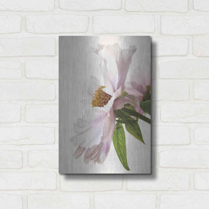 Luxe Metal Art 'Translucent Peony IV' by Debra Van Swearingen, Metal Wall Art,12x16