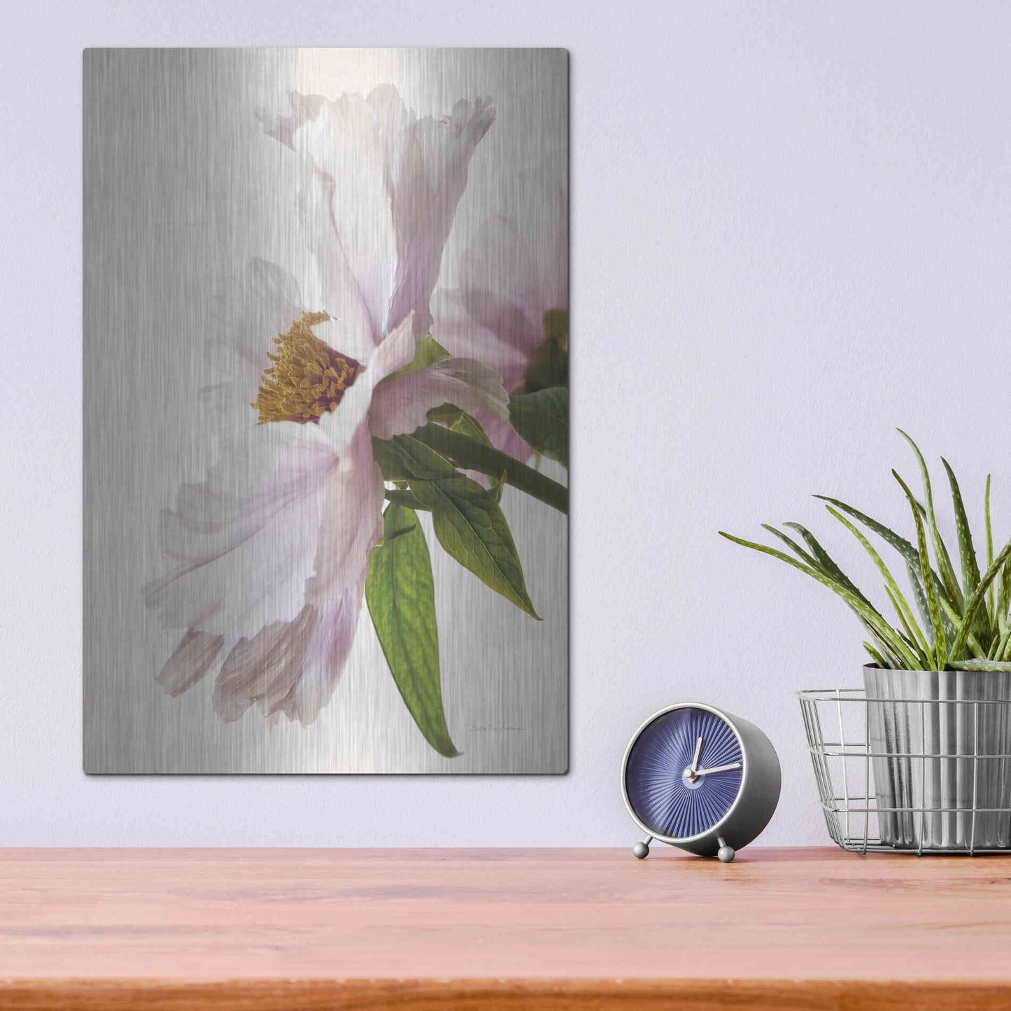 Luxe Metal Art 'Translucent Peony IV' by Debra Van Swearingen, Metal Wall Art,12x16