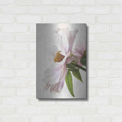 Luxe Metal Art 'Translucent Peony IV' by Debra Van Swearingen, Metal Wall Art,16x24