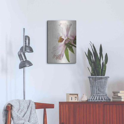 Luxe Metal Art 'Translucent Peony IV' by Debra Van Swearingen, Metal Wall Art,16x24
