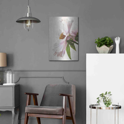 Luxe Metal Art 'Translucent Peony IV' by Debra Van Swearingen, Metal Wall Art,16x24