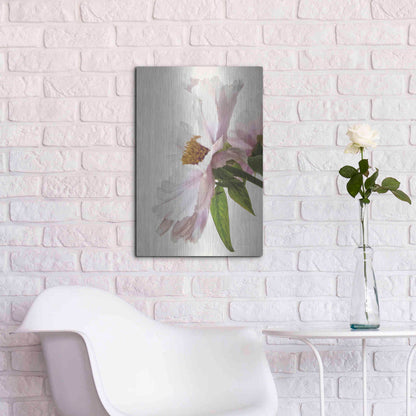 Luxe Metal Art 'Translucent Peony IV' by Debra Van Swearingen, Metal Wall Art,16x24