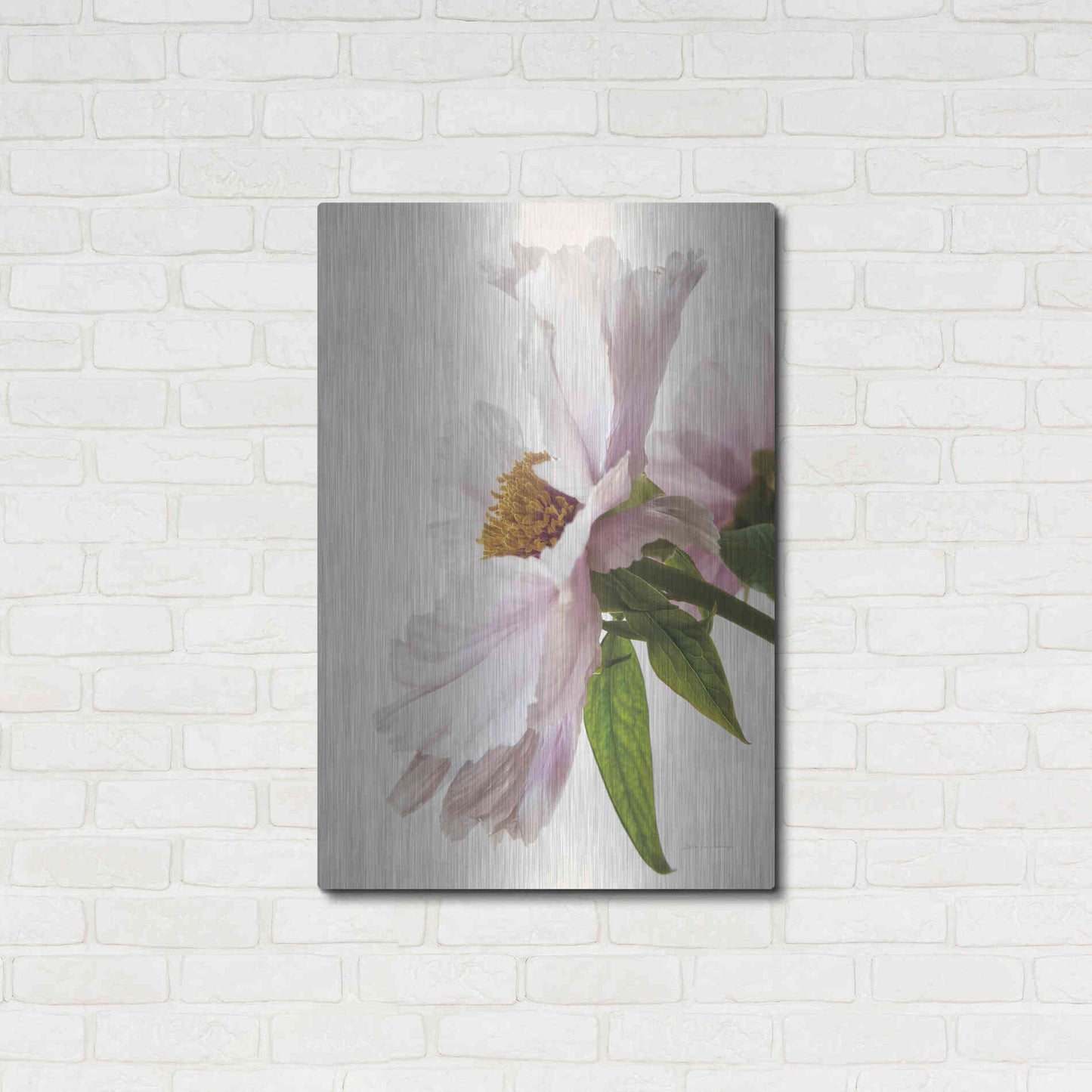 Luxe Metal Art 'Translucent Peony IV' by Debra Van Swearingen, Metal Wall Art,24x36