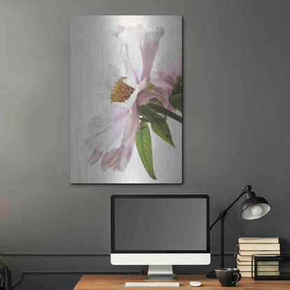 Luxe Metal Art 'Translucent Peony IV' by Debra Van Swearingen, Metal Wall Art,24x36