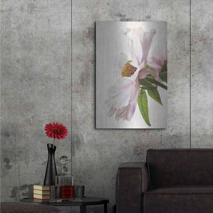 Luxe Metal Art 'Translucent Peony IV' by Debra Van Swearingen, Metal Wall Art,24x36