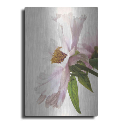Luxe Metal Art 'Translucent Peony IV' by Debra Van Swearingen, Metal Wall Art