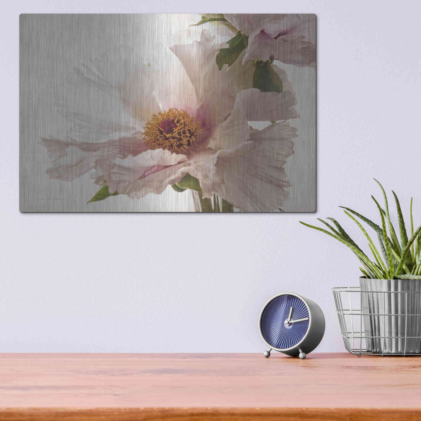 Luxe Metal Art 'Translucent Peony V' by Debra Van Swearingen, Metal Wall Art,16x12