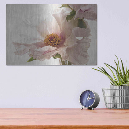 Luxe Metal Art 'Translucent Peony V' by Debra Van Swearingen, Metal Wall Art,16x12