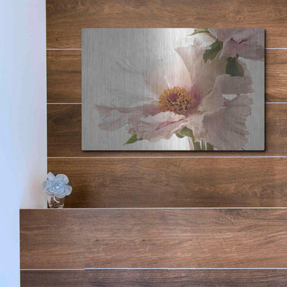Luxe Metal Art 'Translucent Peony V' by Debra Van Swearingen, Metal Wall Art,16x12