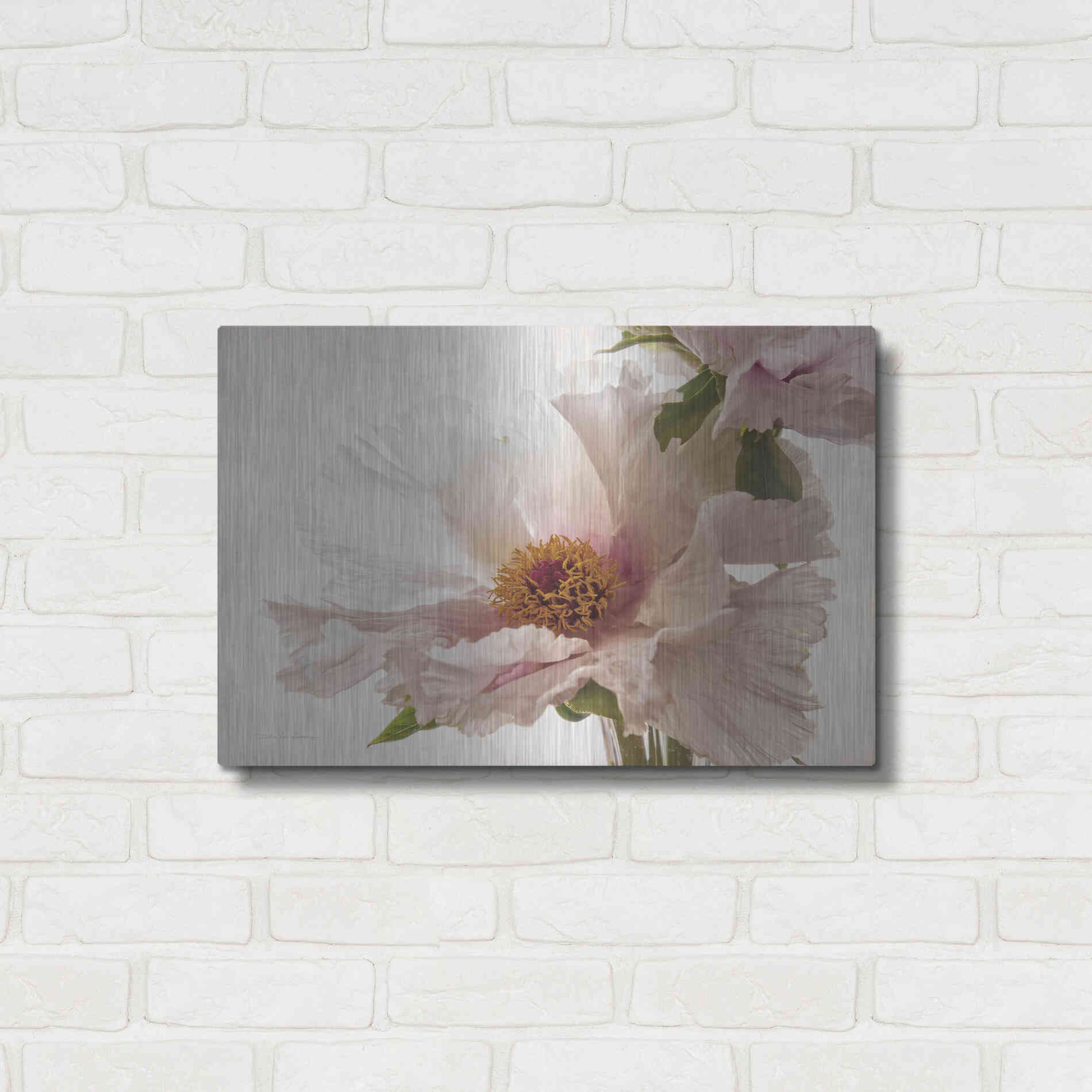 Luxe Metal Art 'Translucent Peony V' by Debra Van Swearingen, Metal Wall Art,24x16