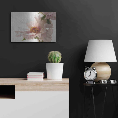 Luxe Metal Art 'Translucent Peony V' by Debra Van Swearingen, Metal Wall Art,24x16