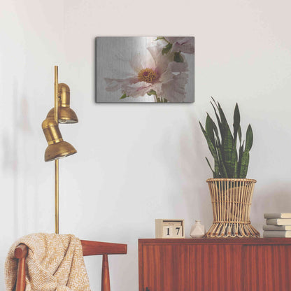 Luxe Metal Art 'Translucent Peony V' by Debra Van Swearingen, Metal Wall Art,24x16