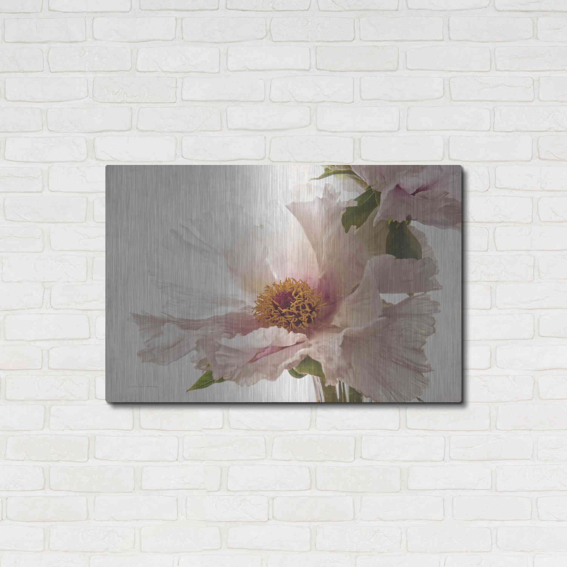 Luxe Metal Art 'Translucent Peony V' by Debra Van Swearingen, Metal Wall Art,36x24