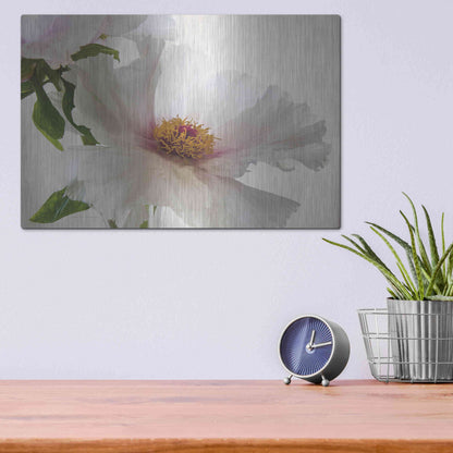Luxe Metal Art 'Translucent Peony VI' by Debra Van Swearingen, Metal Wall Art,16x12