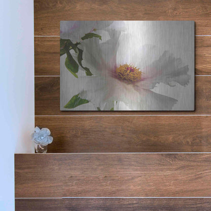 Luxe Metal Art 'Translucent Peony VI' by Debra Van Swearingen, Metal Wall Art,16x12