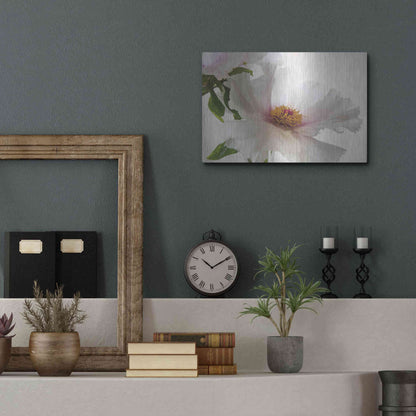 Luxe Metal Art 'Translucent Peony VI' by Debra Van Swearingen, Metal Wall Art,16x12