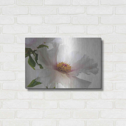 Luxe Metal Art 'Translucent Peony VI' by Debra Van Swearingen, Metal Wall Art,24x16
