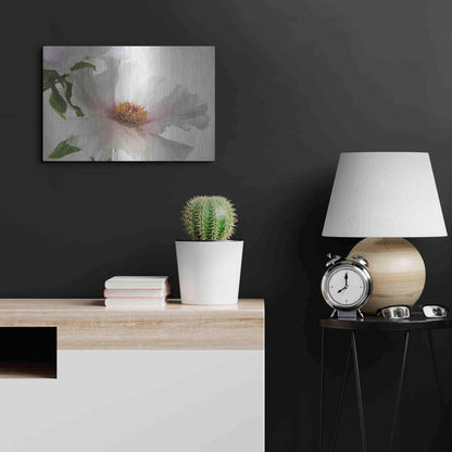 Luxe Metal Art 'Translucent Peony VI' by Debra Van Swearingen, Metal Wall Art,24x16