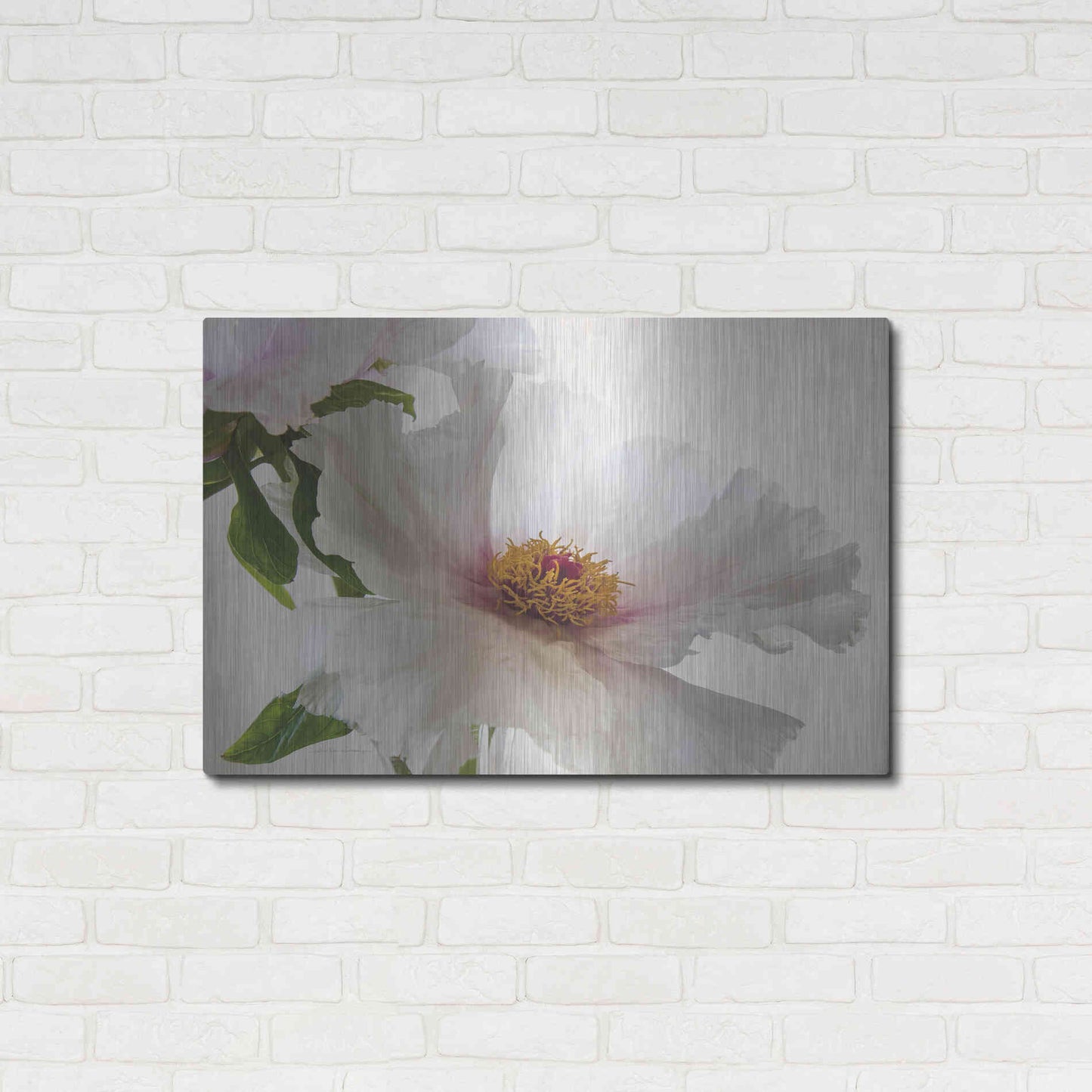 Luxe Metal Art 'Translucent Peony VI' by Debra Van Swearingen, Metal Wall Art,36x24