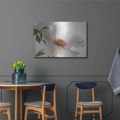 Luxe Metal Art 'Translucent Peony VI' by Debra Van Swearingen, Metal Wall Art,36x24