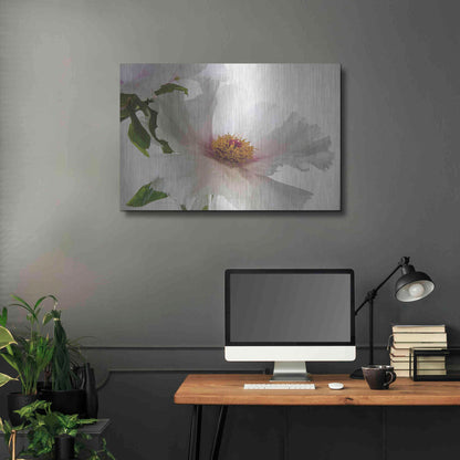 Luxe Metal Art 'Translucent Peony VI' by Debra Van Swearingen, Metal Wall Art,36x24