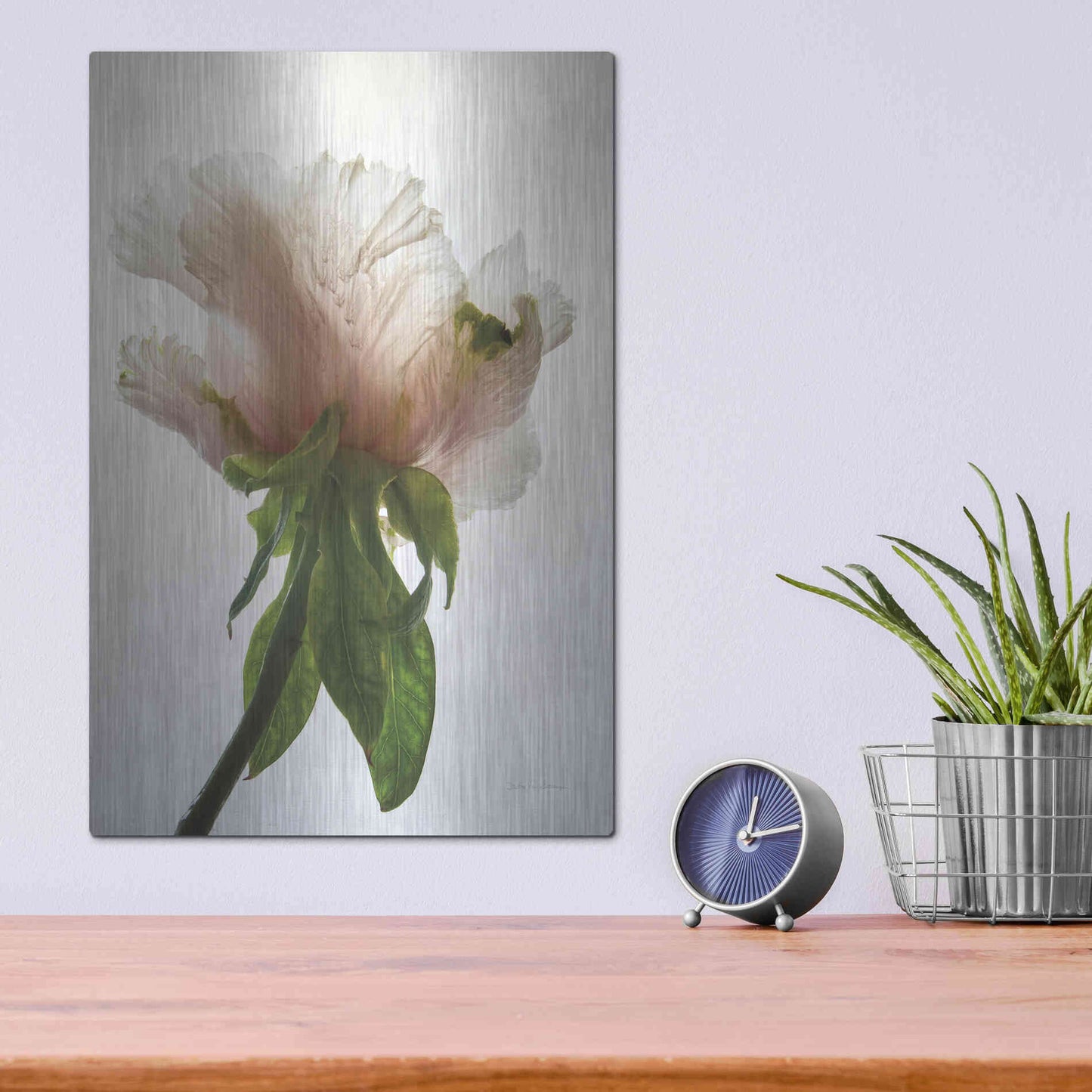 Luxe Metal Art 'Translucent Peony VII' by Debra Van Swearingen, Metal Wall Art,12x16