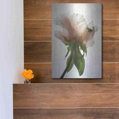 Luxe Metal Art 'Translucent Peony VII' by Debra Van Swearingen, Metal Wall Art,12x16