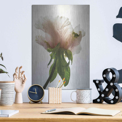 Luxe Metal Art 'Translucent Peony VII' by Debra Van Swearingen, Metal Wall Art,12x16