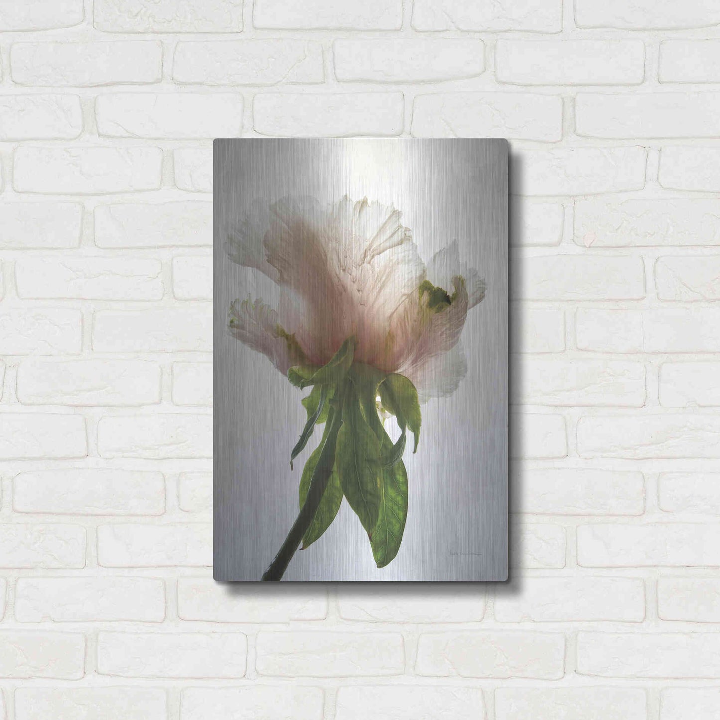 Luxe Metal Art 'Translucent Peony VII' by Debra Van Swearingen, Metal Wall Art,16x24