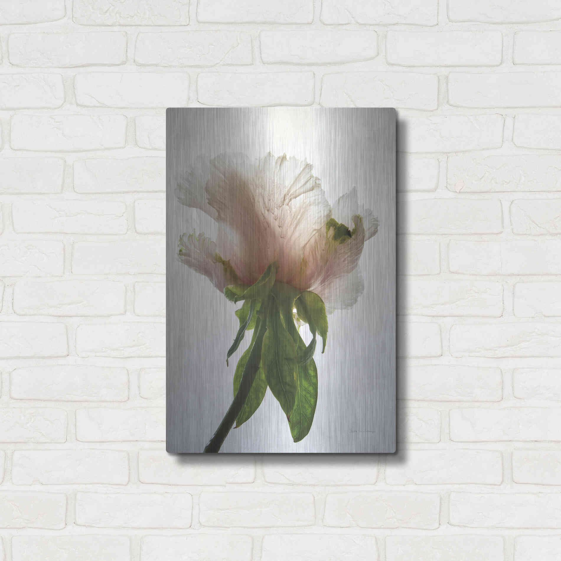 Luxe Metal Art 'Translucent Peony VII' by Debra Van Swearingen, Metal Wall Art,16x24