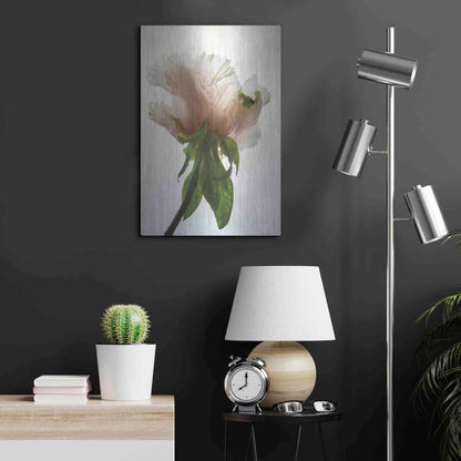 Luxe Metal Art 'Translucent Peony VII' by Debra Van Swearingen, Metal Wall Art,16x24