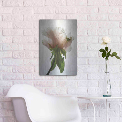 Luxe Metal Art 'Translucent Peony VII' by Debra Van Swearingen, Metal Wall Art,16x24