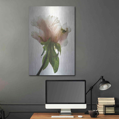 Luxe Metal Art 'Translucent Peony VII' by Debra Van Swearingen, Metal Wall Art,24x36