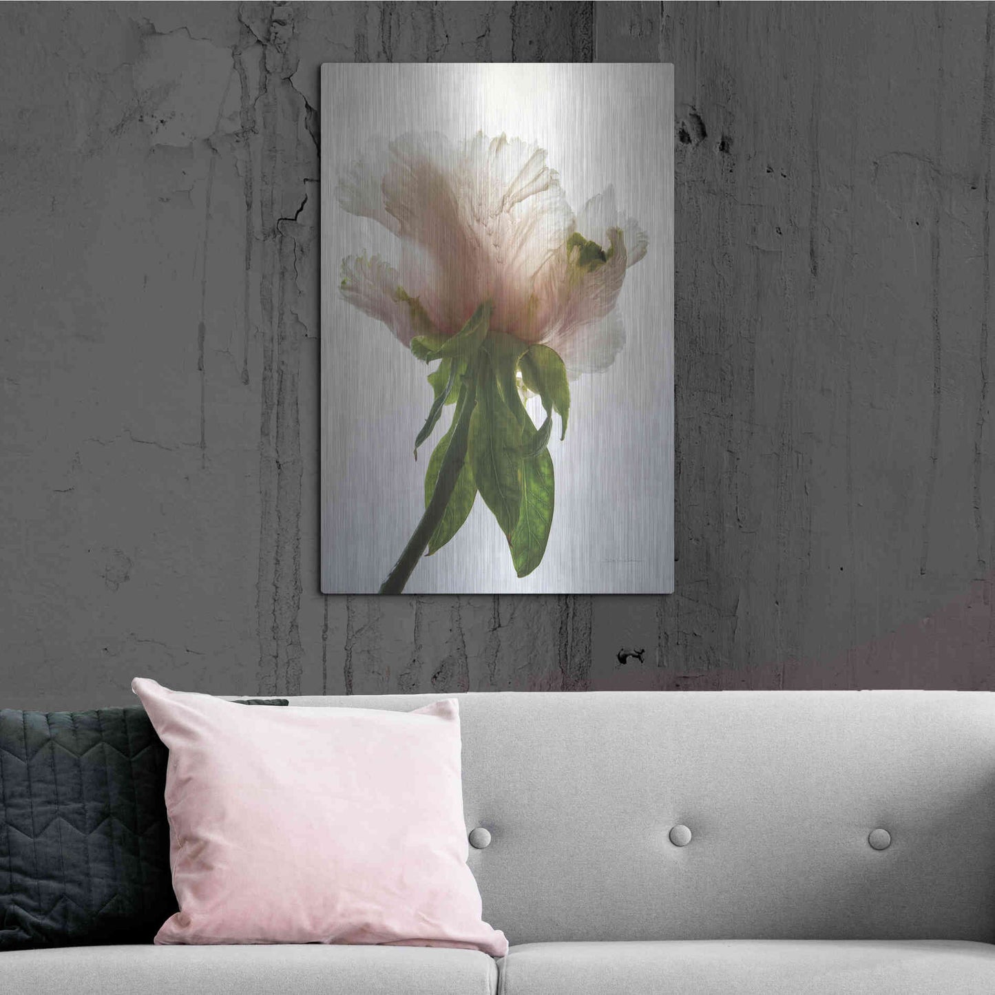 Luxe Metal Art 'Translucent Peony VII' by Debra Van Swearingen, Metal Wall Art,24x36