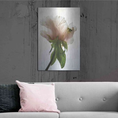 Luxe Metal Art 'Translucent Peony VII' by Debra Van Swearingen, Metal Wall Art,24x36