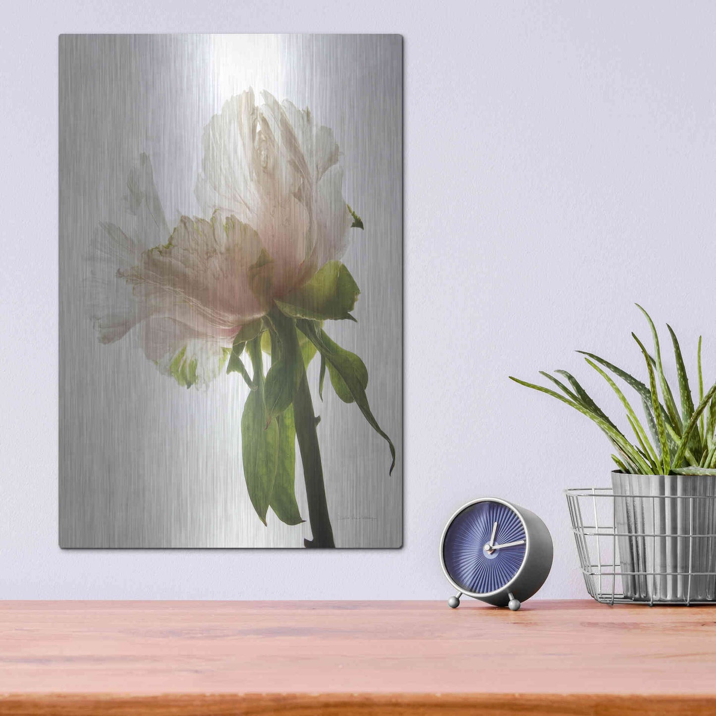 Luxe Metal Art 'Translucent Peony VIII' by Debra Van Swearingen, Metal Wall Art,12x16