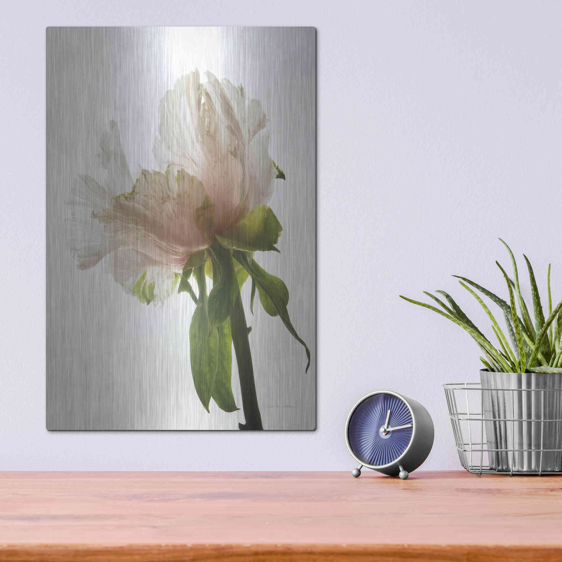 Luxe Metal Art 'Translucent Peony VIII' by Debra Van Swearingen, Metal Wall Art,12x16