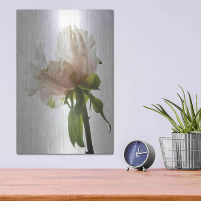 Luxe Metal Art 'Translucent Peony VIII' by Debra Van Swearingen, Metal Wall Art,12x16