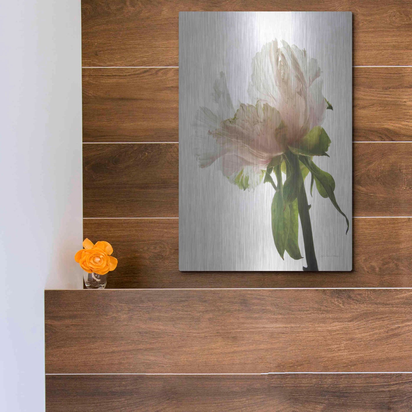 Luxe Metal Art 'Translucent Peony VIII' by Debra Van Swearingen, Metal Wall Art,12x16