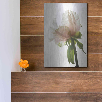 Luxe Metal Art 'Translucent Peony VIII' by Debra Van Swearingen, Metal Wall Art,12x16