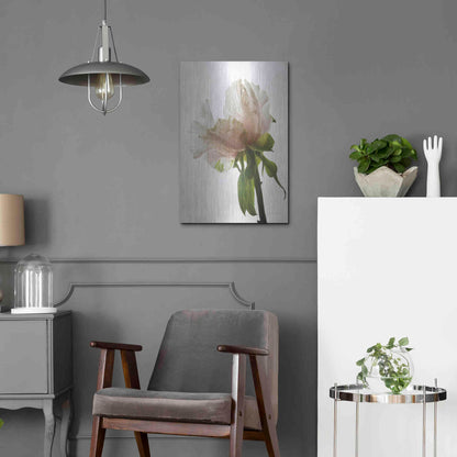 Luxe Metal Art 'Translucent Peony VIII' by Debra Van Swearingen, Metal Wall Art,16x24